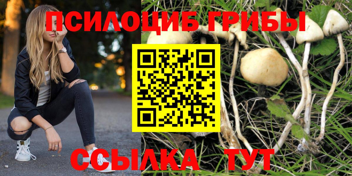 Галлюциногенные грибы мицелий Великий Новгород