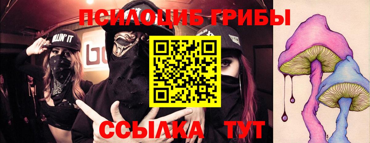 Галлюциногенные грибы мухоморы  Вход с VPN  где продают   Великий Новгород 